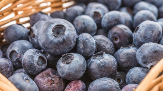 5 Manfaat Acai Berry, Buah Super yang Kaya Serat dan Antioksidan Baik untuk Kesehatan Tubuh